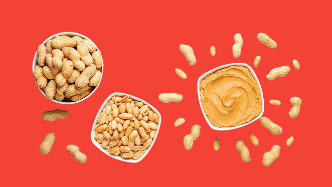 کره بادام زمینی  خالص ۱ کیلویی دهکده روغن